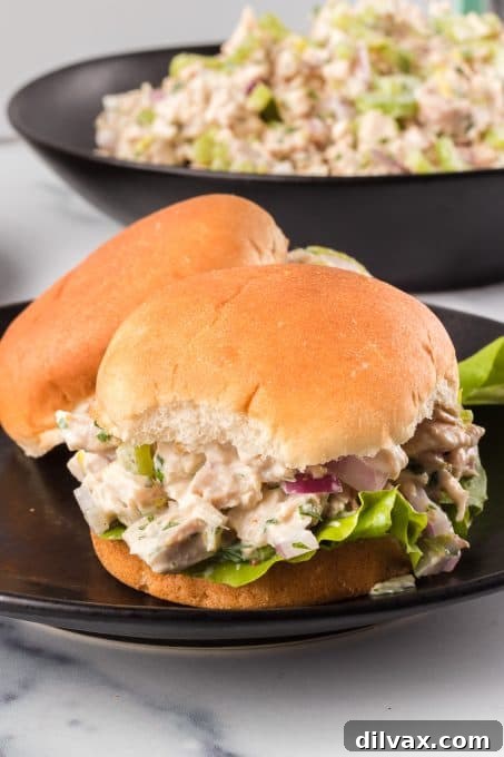 A chicken sandwich. A rustic chicken salad sandwich, perfectly made and ready to be enjoyed.