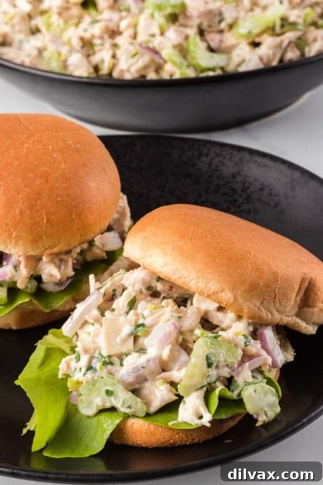 Chicken sandwich without mayonnaise. A beautifully presented chicken salad sandwich, cut in half, showcasing the creamy filling and crisp vegetables.