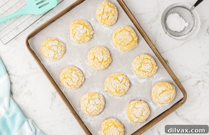 Sunshine Lemon Cookies 2 Lemon cookies on a baking tray