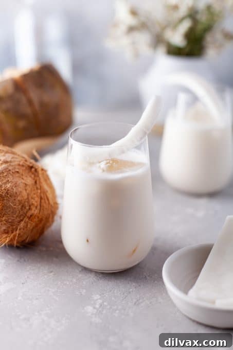 Tropical Coconut Bliss 9 A beautifully presented Coconut Cream Cooler in a glass, ready for a refreshing sip.