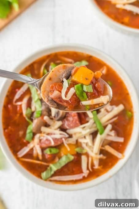 Hearty Instant Pot Pizza Soup 9 A final shot of the Instant Pot Pizza Soup, garnished and ready for serving, highlighting its rich textures and inviting colors.