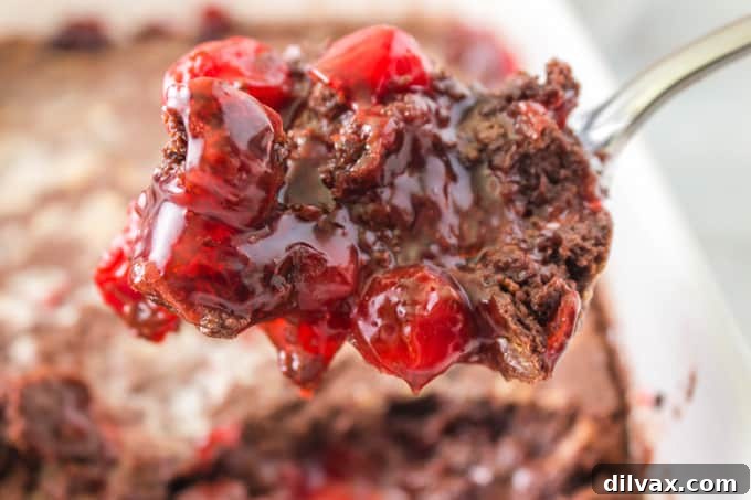 Effortless Chocolate Cherry Delight 2 A spoonful of a chocolate dump cake with cherries, showing the moist interior and glistening cherries.