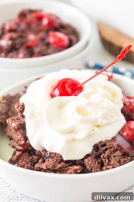 Effortless Chocolate Cherry Delight 3 Delicious Chocolate Cherry Dump Cake garnished with a sprinkle of powdered sugar and fresh cherries.