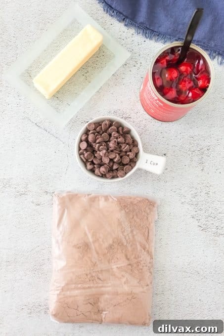 Effortless Chocolate Cherry Delight 4 Key ingredients for a chocolate dump cake, neatly arranged on a counter: chocolate cake mix, cherry pie filling, butter, and chocolate chips.