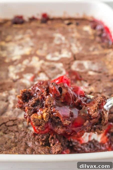 Effortless Chocolate Cherry Delight 6 A rich chocolate and cherry dump cake, showcasing the generous amounts of both ingredients.