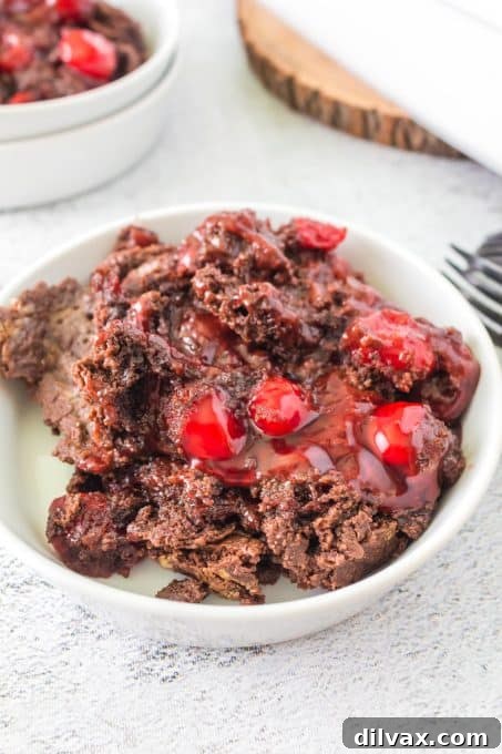 Effortless Chocolate Cherry Delight 9 Ingredients for a dump cake laid out: cherry pie filling, chocolate cake mix, sliced butter, and chocolate chips.