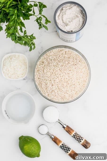 Fragrant Coconut Rice 4 Arrangement of coconut rice ingredients: rice, coconut milk, water, sugar, salt, and optional garnishes like lime, parsley, and toasted coconut.