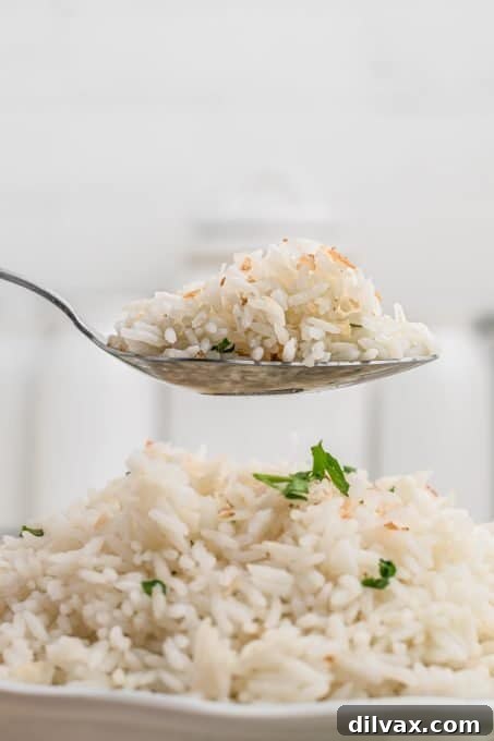 Fragrant Coconut Rice 9 A close-up of fragrant coconut rice scooped into a spoon, highlighting its texture.