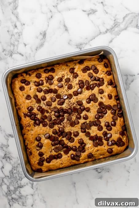 A baked pan of golden brown chocolate chip blondies, fresh out of the oven and cooling.