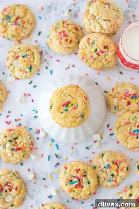 A fresh batch of Cake Batter Cookies, lovingly baked with sprinkles mixed throughout.