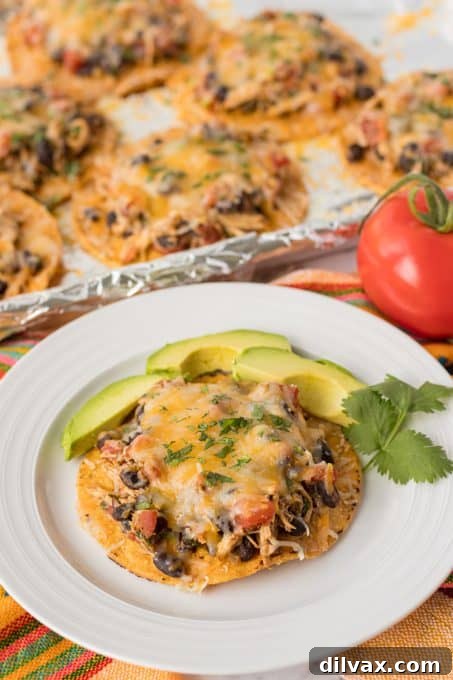 Crispy Chicken Tostadas 8 A tostada topped with chicken and cheese served with slices of avocado.