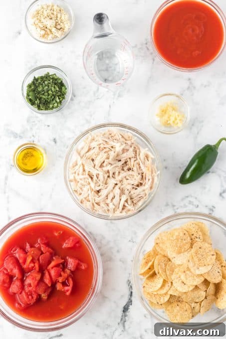 Ingredients for Chicken Chilaquiles