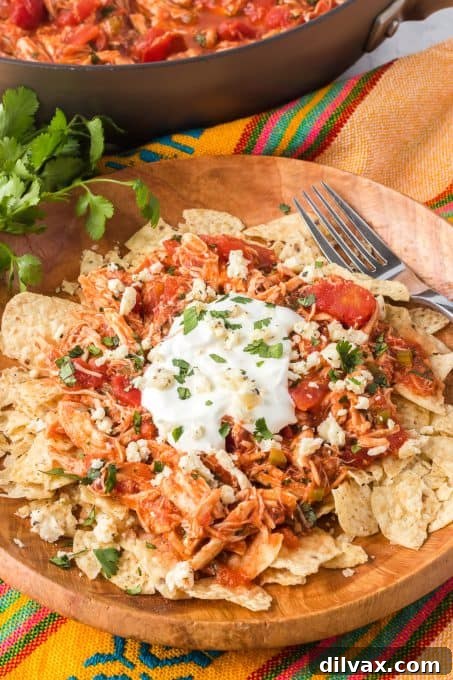 An easy weeknight dinner of chicken, tortilla chips, salsa and more.