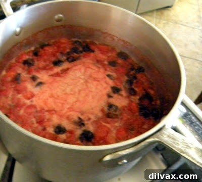 Strawberry Blueberry Pomegranate Fruit Ribbons 3 Cooking Fruit for Homemade Fruit Roll-Ups