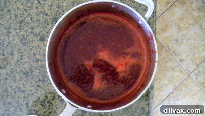 Strawberry Blueberry Pomegranate Fruit Ribbons 4 Pureed Fruit Mixture for Healthy Snacks