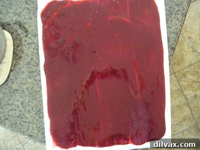 Strawberry Blueberry Pomegranate Fruit Ribbons 5 Spreading Fruit Puree for Dehydration