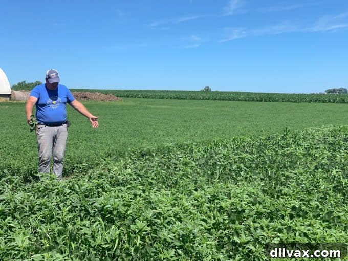 Farmer Dave Struthers of Struthers Farms talking about his soybean farming.