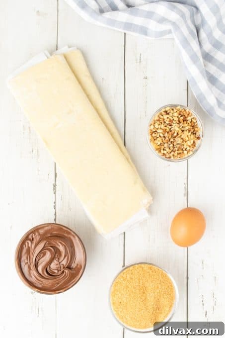 Decadent Nutella Twists 4 Ingredients for Nutella Knots displayed