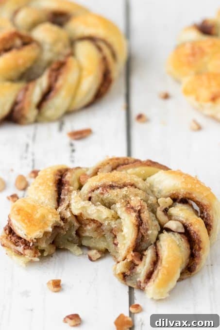 Decadent Nutella Twists 9 Nutella Babka Buns - an alternate name for the knots
