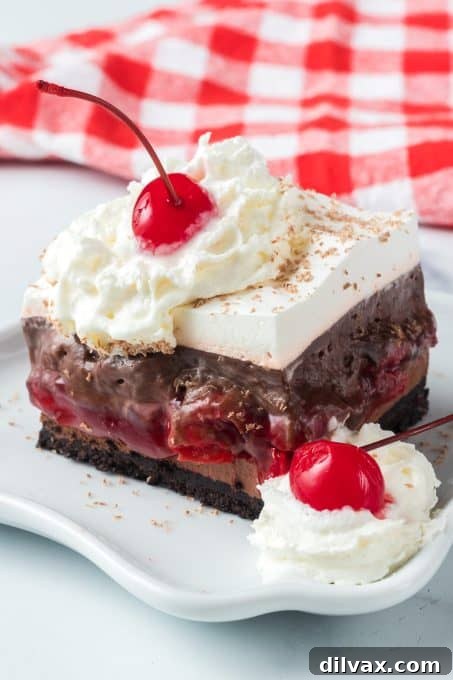 Enchanted Forest Cherry Bars 6 Layers of chocolate, cherries, and whipped topping.