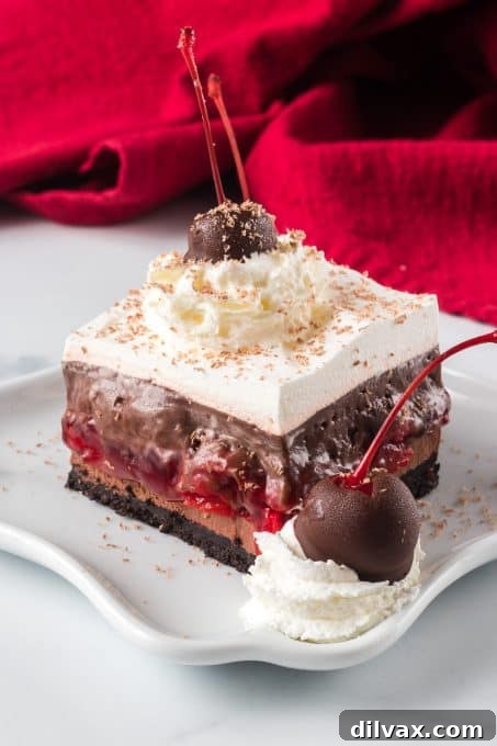 Enchanted Forest Cherry Bars 7 Chocolate covered cherries with chocolate cheesecake, chocolate pudding, and whipped topping.