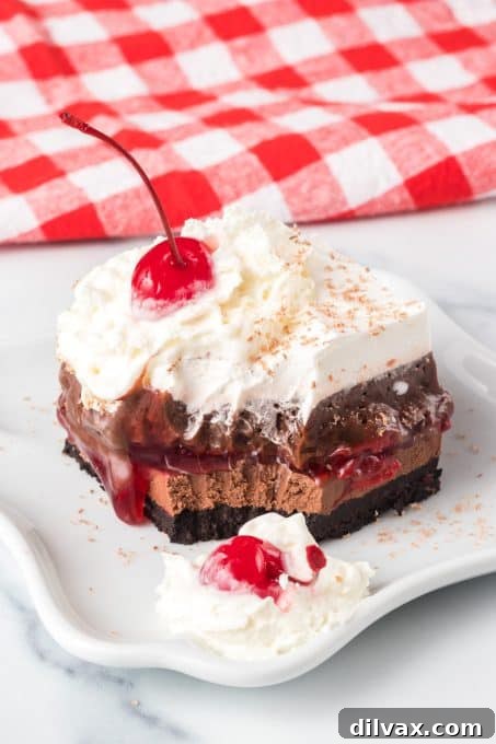 Enchanted Forest Cherry Bars 8 Chocolate cheesecake, cherries, and chocolate pudding.