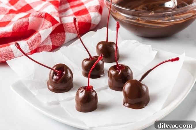 Decadent Three Ingredient Chocolate Covered Cherries 2 Cherries covered in chocolate, arranged beautifully on a plate.