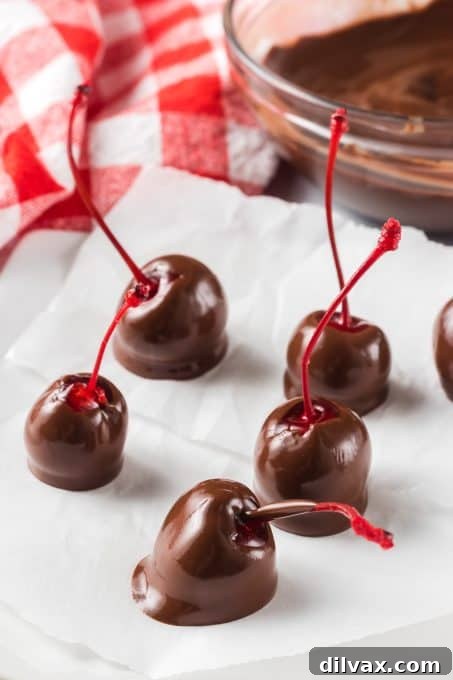 Decadent Three Ingredient Chocolate Covered Cherries 6 A small cluster of homemade chocolate covered cherries.