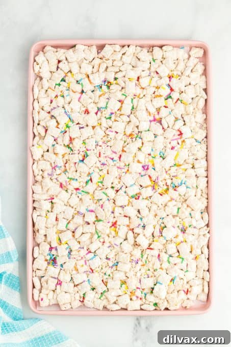 Simple Funfetti Snack Mix 4 Funfetti Muddy Buddies spread out on a baking sheet, cooling.