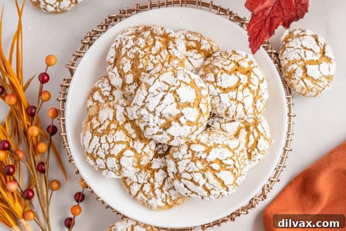 A plate of pumpkin crinkles, dusted with powdered sugar, ready to be enjoyed.