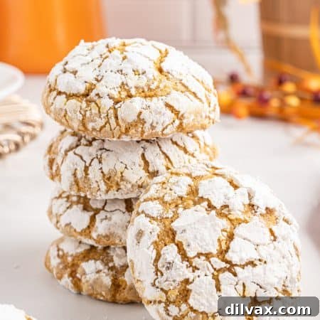 Pumpkin Crinkle Cookies