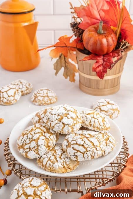 A freshly baked Pumpkin Crinkle Cookie on a white plate, showing its soft interior and powdered sugar coating.
