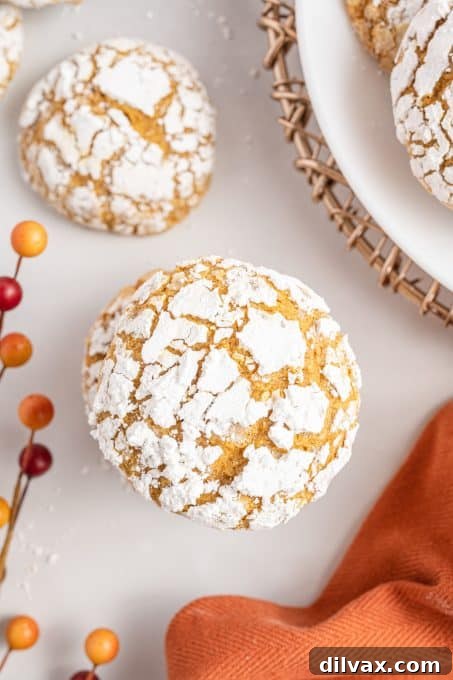 A single pumpkin crinkle cookie on a white plate, showcasing its soft texture and spiced flavor.