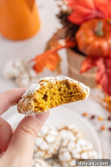 A pumpkin crinkle cookie with a bite taken out, revealing its soft, spiced interior.