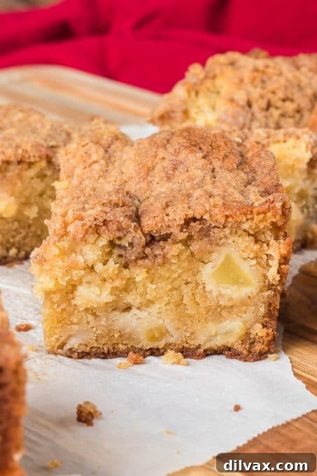 Spiced Apple Streusel Cake 11 A golden-brown slice of Apple Crumb Cake displaying its moist, buttery texture, generous apple filling, and cinnamon crumb topping.