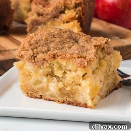Spiced Apple Streusel Cake 12 Apple Crumb Cake