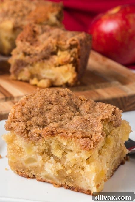 Spiced Apple Streusel Cake 3 Close-up of a beautifully baked Apple Crumb Cake with a golden-brown streusel topping.