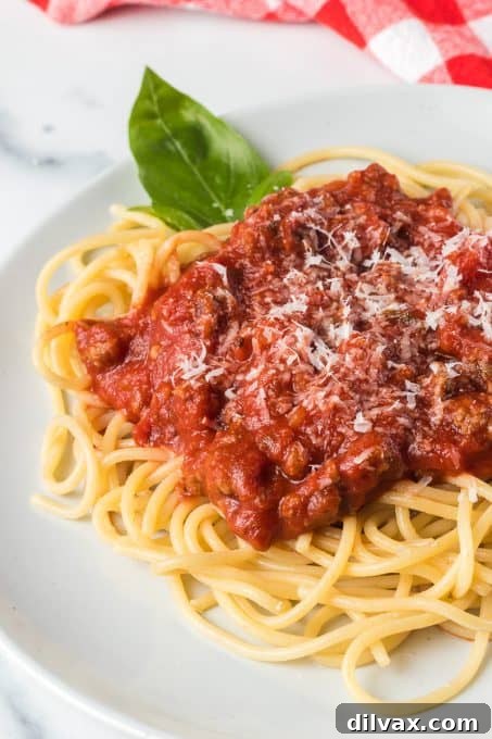 A plate of spaghetti with pasta sauce.