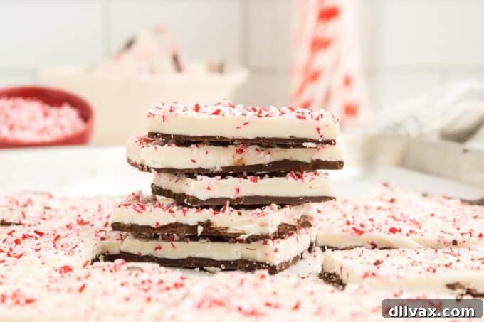 Crushed peppermints with white and dark chocolate layered together, creating a festive peppermint bark.