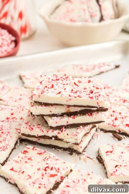 Close-up of freshly made peppermint bark, showcasing the vibrant white and dark chocolate layers with crushed red and white candy canes on top.