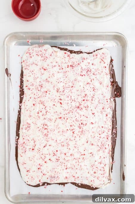 A festive tray of holiday bark with peppermint, perfect for sharing.