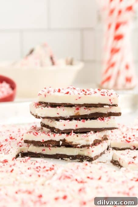 Holiday bark with peppermint pieces, arranged artfully for a festive display.