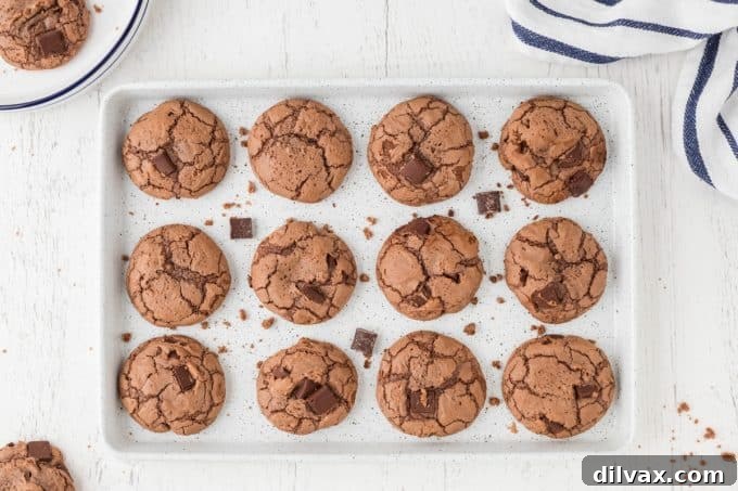 Decadent Brownie Cookies 2 A tray of chocolate cookies with chocolate chunks.