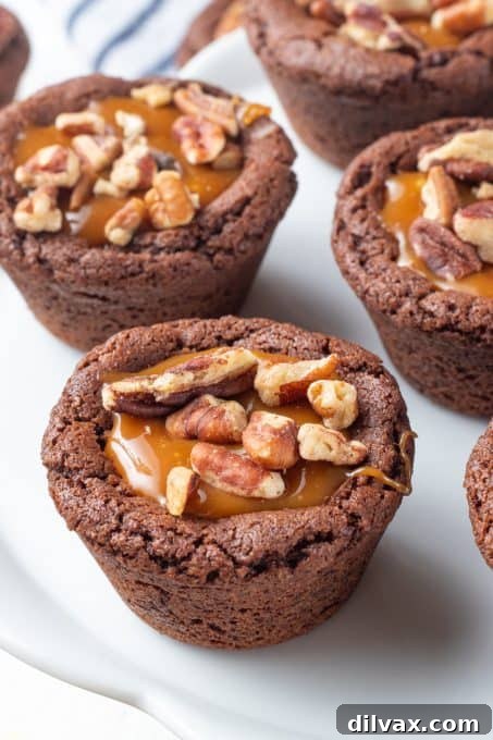 A close-up shot of several Turtle Tassies, perfectly formed cookie cups filled with a glistening caramel and scattered with chopped pecans.