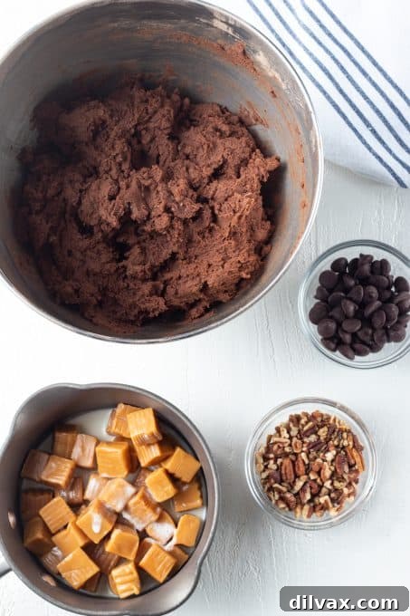 A visual guide showing the process for making Turtle Tassies, including forming the dough balls, pressing them into muffin cups, and adding the filling.