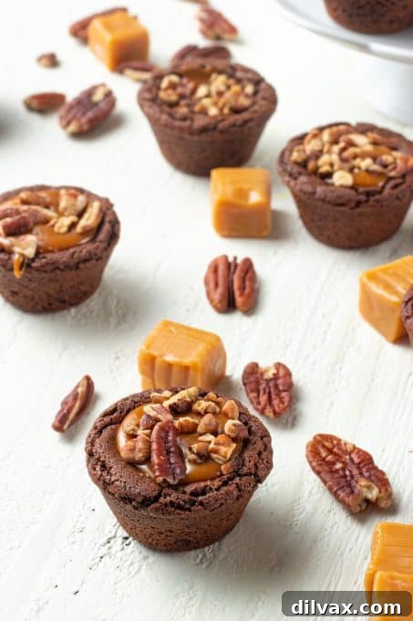 A tray of freshly baked Turtle Tassies, featuring chocolate cookie bases, rich caramel, and crunchy pecans.