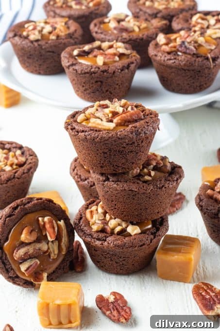 Close-up of a single Turtle Tassie, showcasing the vibrant caramel and pecan topping on a dark chocolate cookie cup.