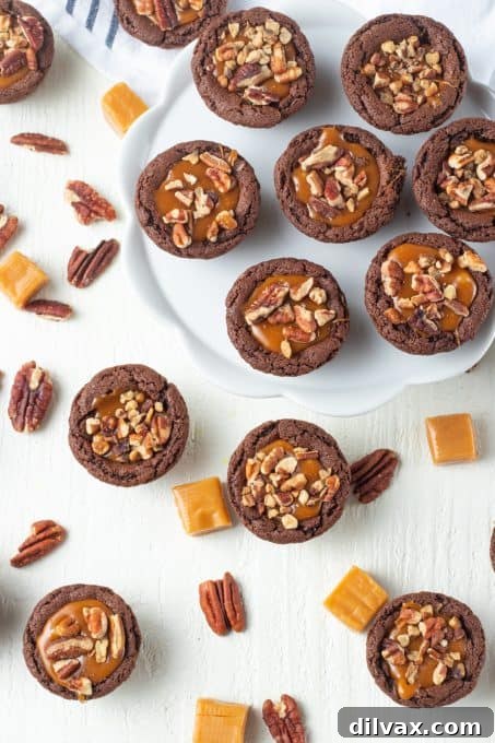 A delicious Turtle Tassie with a generous sprinkle of chopped pecans on top of the caramel filling, set in a chocolate cookie cup.