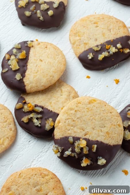 Close-up of chocolate-dipped orange sugar cookies with candied orange peel