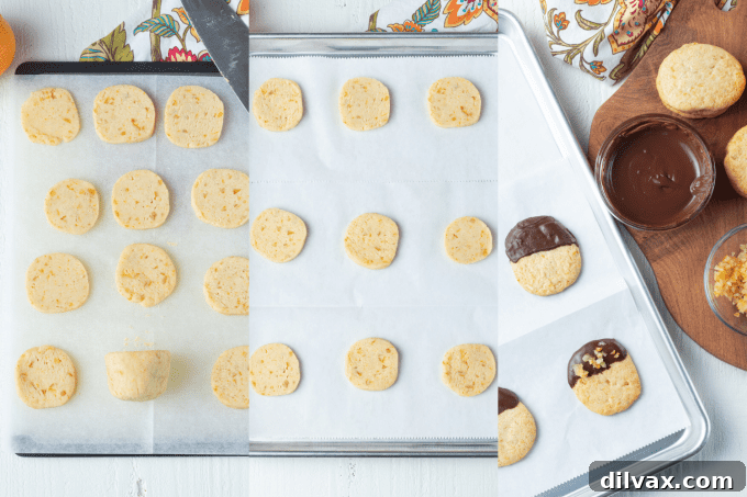 Close-up of baked chocolate-dipped orange sugar cookies